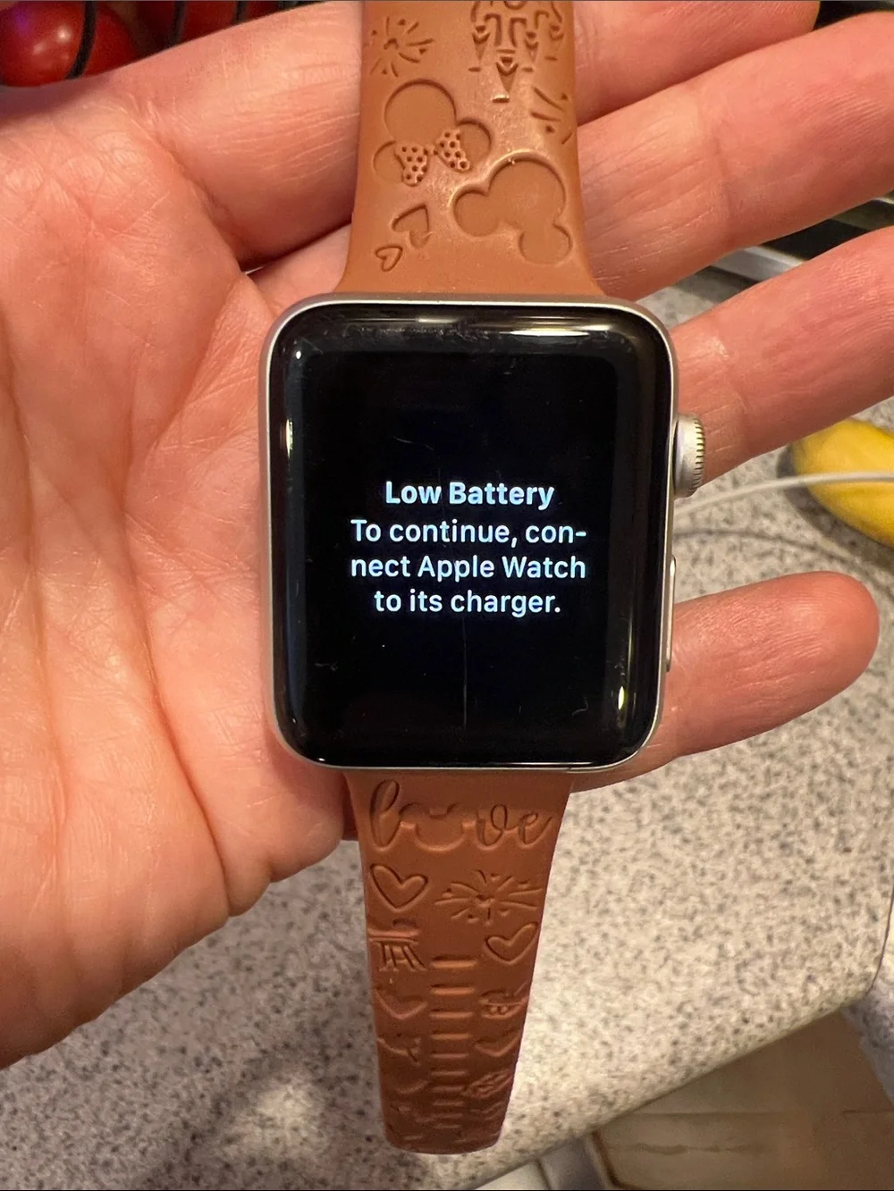 Apple Watch Series 3 42 MM aluminum